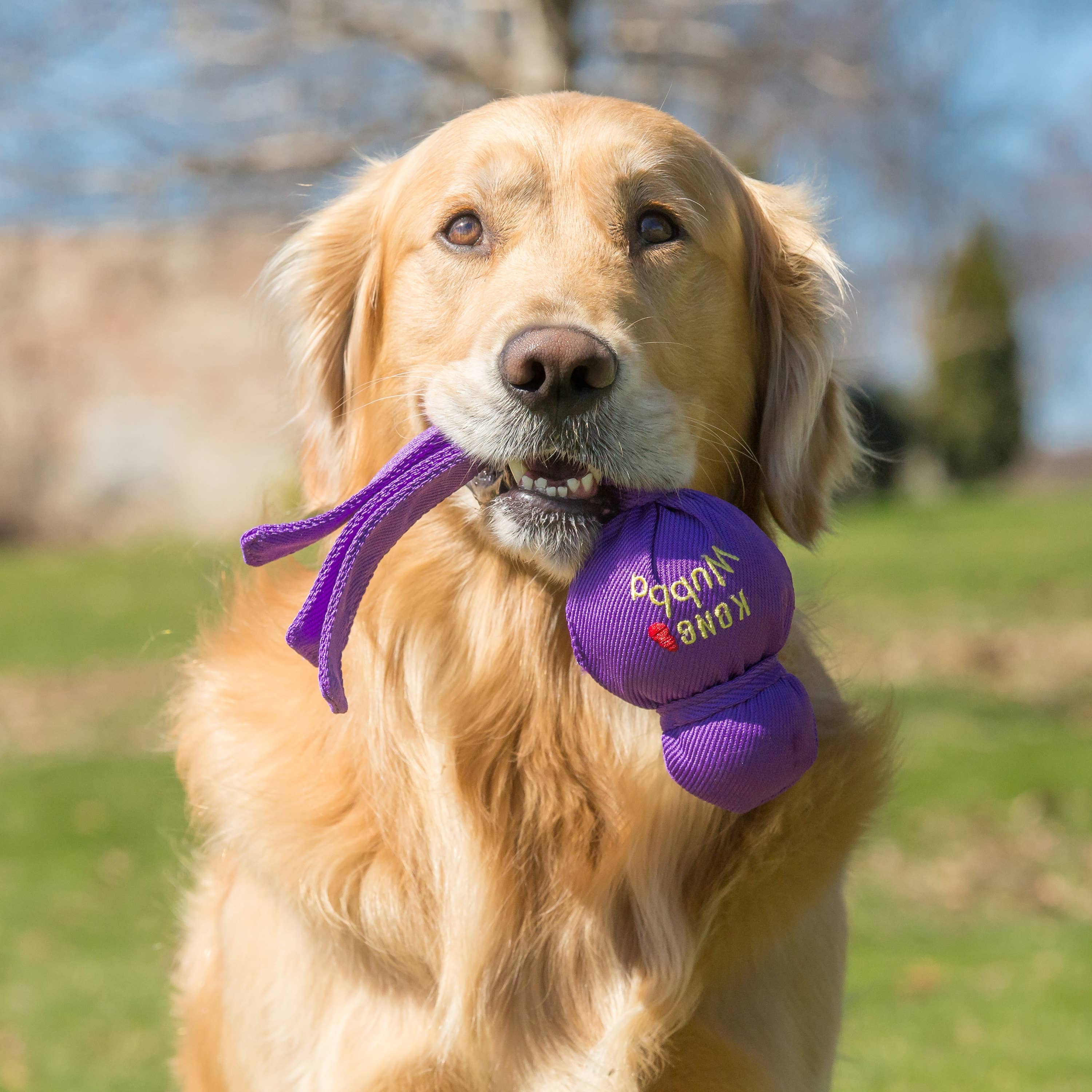 Pet Palette Distribution - KONG® Wubba Dog Tug Toy Assorted XL
