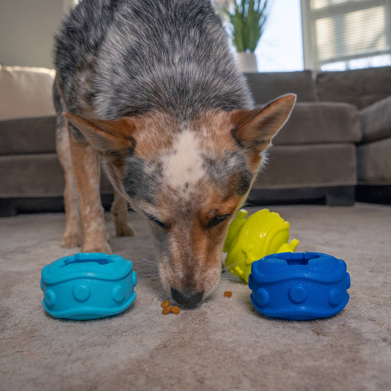 Outward Hound Locking Discs Dog Treat Dispenser Toy