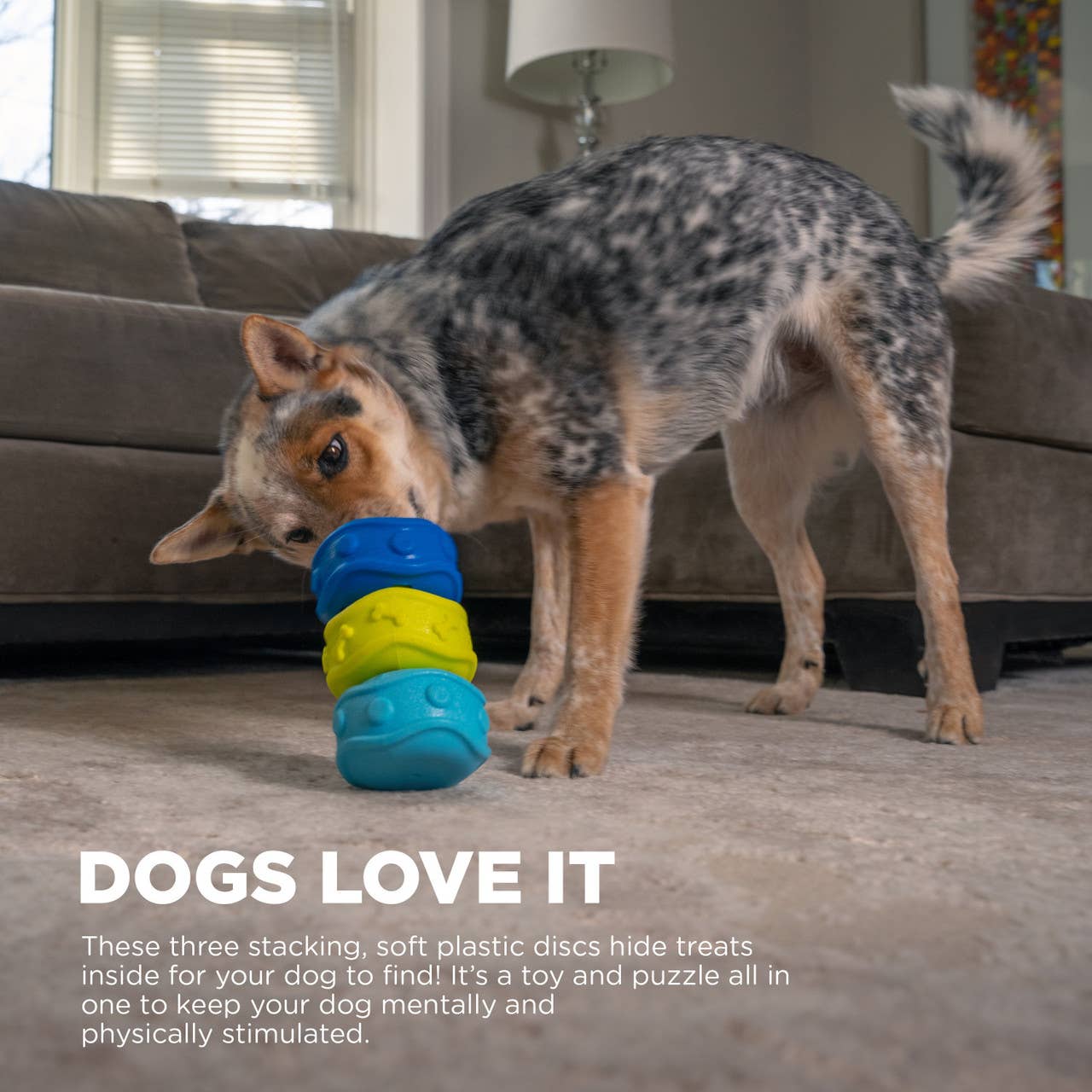 Outward Hound Locking Discs Dog Treat Dispenser Toy