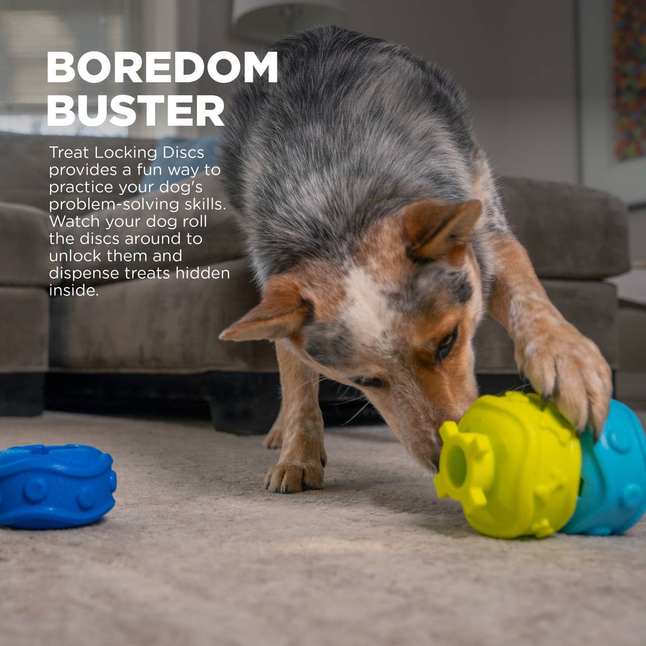 Outward Hound Locking Discs Dog Treat Dispenser Toy