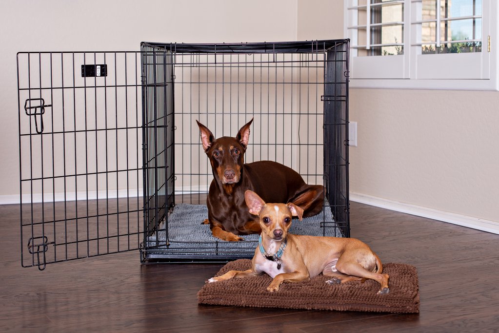Dog Crate Mate