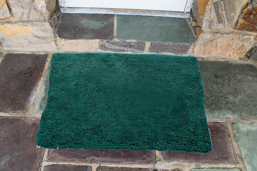 Soggy Doggy Doormat