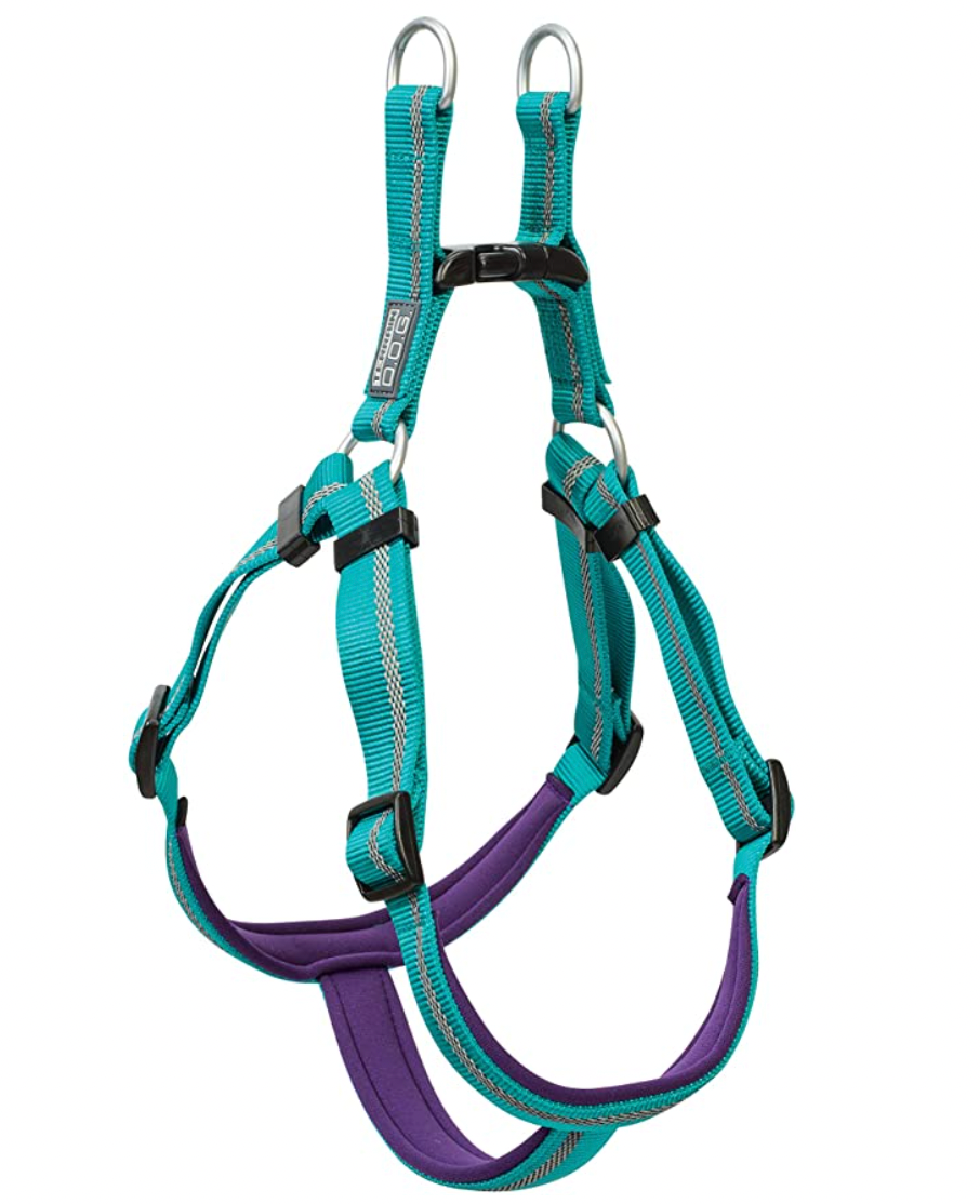 Strap Harness