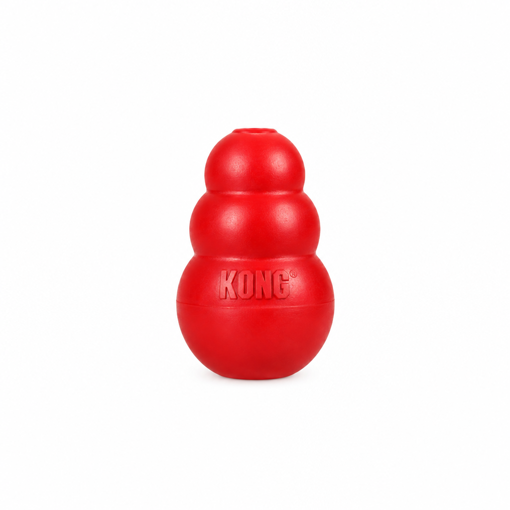Kongs