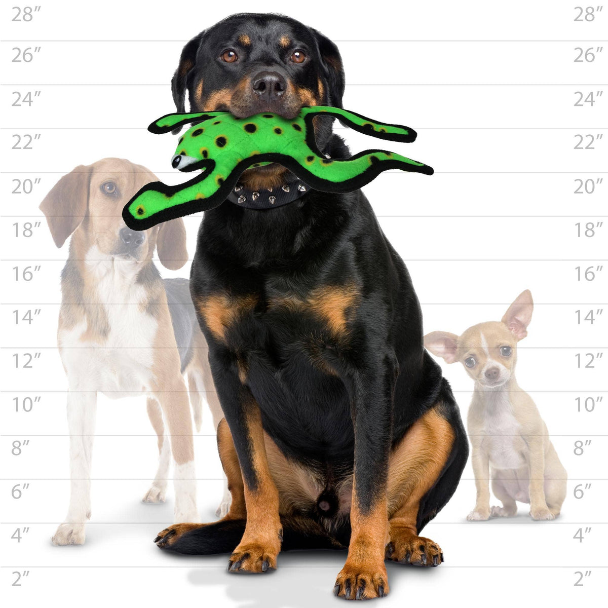 Tuffy Dog Toys - VIP Products - Tuffy Desert Phrog Leaping, Durable, Tough, Squeaky Dog Toy