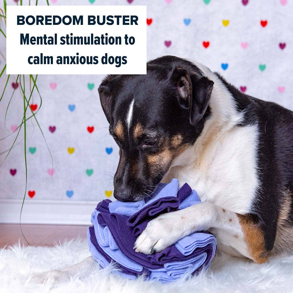 Snuffle Ball Purple / Large